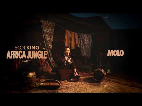 Soolking - Molo [Visualizer Officiel]