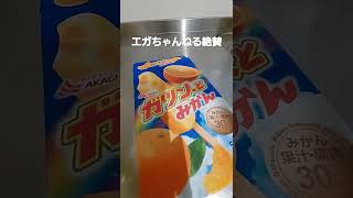 エガちゃんねる江頭秀晴さん絶賛の【ガツン、とみかん】 が想像以上に美味しかった