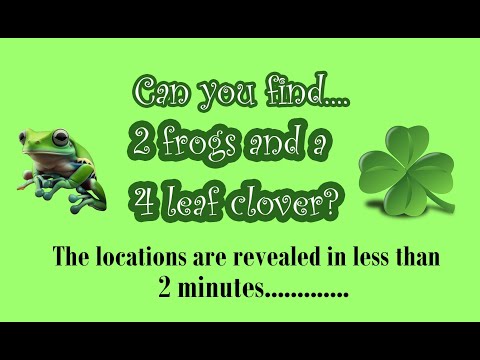 2 frogs and clover location #hiddenobject #relaxation