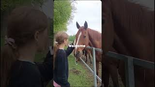 Home💞 #horse #synthmagic #equestrian #synthriders #synthfam #showpony #music #automobile