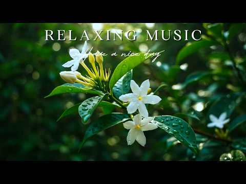 🦋 Heal Your Mind | Butterfly Tunes Gentle Piano | Oxy Music
