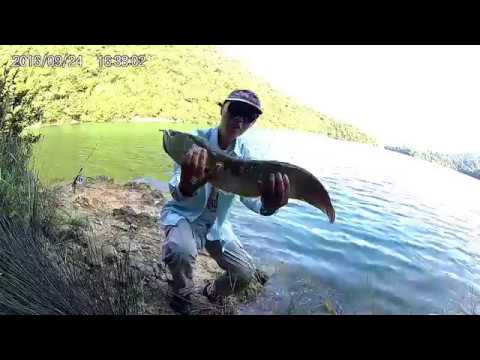 Tai Tam arowana fishing 2016.09.24