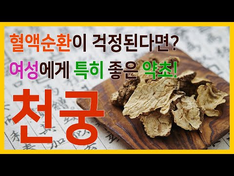 혈액순환에 좋은 약초 천궁 효능 여성에게 좋은 강력 추천 약초 !