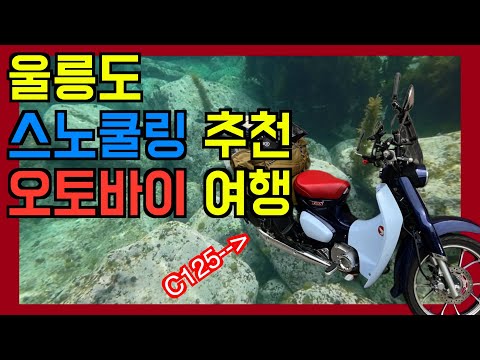 울릉도 여행 - 울릉도 스노클링 포인트 - 오토바이 타고 울릉도 바이크 여행 with 혼다 C125 -2편-