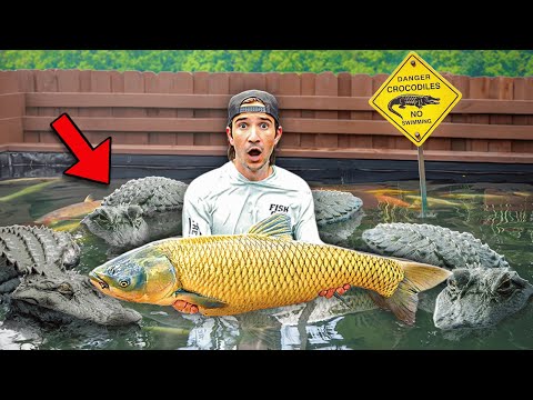 Catching MONSTER FISH In ALLIGATOR INFESTED Water for My Giant POND!