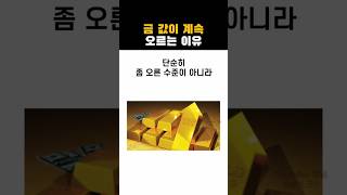 금 값 상승과 비트코인 시세의 관계