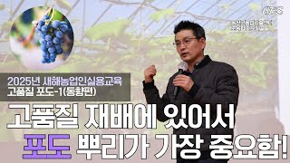 고품질포도재배기술 1편-포도 재배에서 가장 중요한것은 뿌리와 토양이다