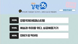 [강원365_11월16일(수)방송]강릉국제아트페스티벌/예술과 취미를 엮다, 실공예즐기기/연애가 밥 먹여줘