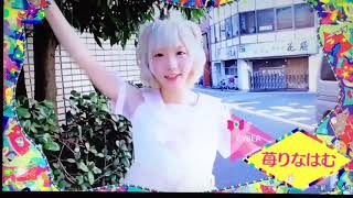 苺りなはむ