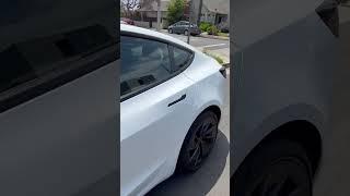 Panel gaps in 2024 Model 3 Performance #modelsplaid #tesla #teslamodel3 #model3performance