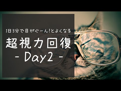 【超視力回復】-Day2-１日３分で目がぐーん！と良くなる【ガボールパッチ・アイトレーニング】