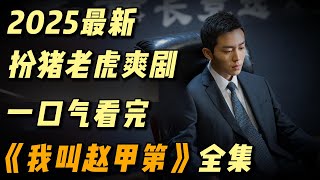 一口气看完2025最新扮猪吃老虎爽剧，第一季速看加第二季全集解说 #影视解说 #中国电视剧