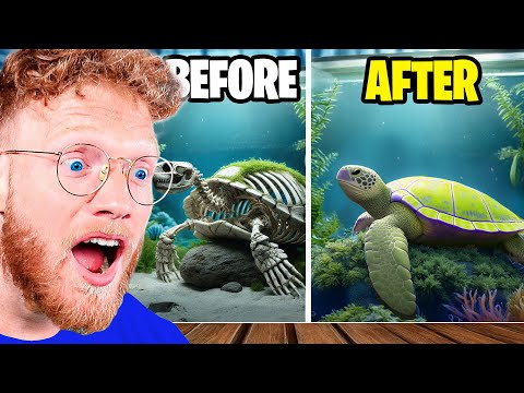 He Adopted a HOMELESS TURTLE