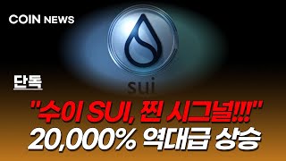 “수이 SUI 코인, 도지코인처럼 터지기 직전?! (찐 시그널)”