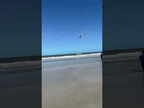 Beach day #beach #live #weather #travel