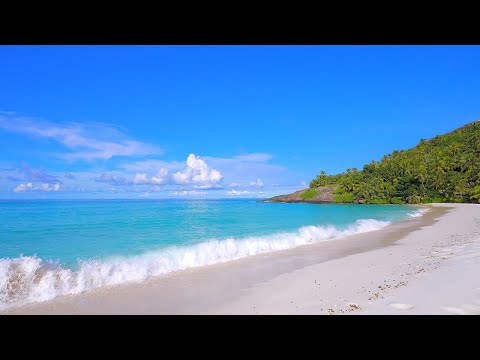 Seychelles Islands Ocean 4K 🏝 Tropical Beach in Summer.