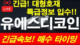 🚨유에스디코인🚨재단일정 공개합니다 변동성 상승 이렇게 수익 대응하세요 #유에스티코인 #유에스디코인전망 #유에스디코인목표값