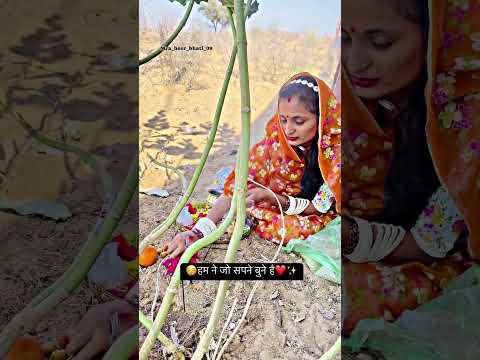 #rajsthan #minivlog #viewchallenge #vlog #whowillbemylifepartnerta #indiannationalholiday #love
