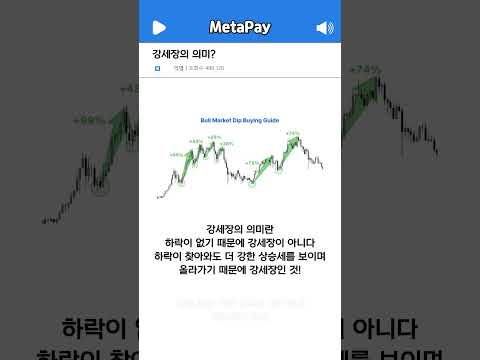 강세장의 의미?
