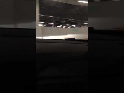 BMW M2 배기음