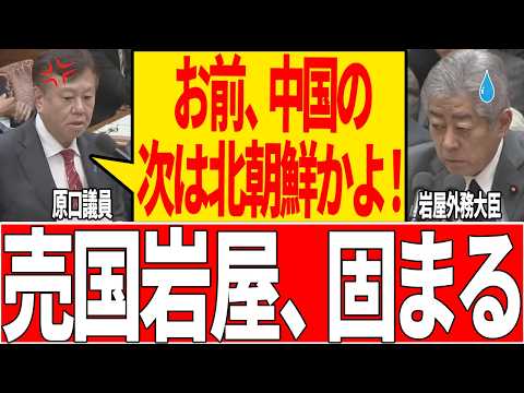 【売国大臣】北朝鮮に血税を横流ししていたことが発覚し日本崩壊確定【国会/自民党/原口/岩屋外務大臣/石破茂/政治/切り抜き】