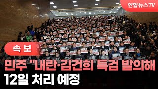 [속보] 민주 "내란·김건희 특검 발의해 12일 처리 예정" / 연합뉴스TV (YonhapnewsTV)