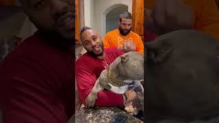 Rumble in the jungle