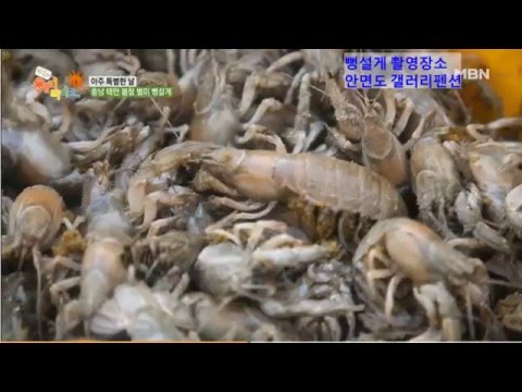 mbn 해피라이프 뻥설게촬영장소 안면도갤러리펜션