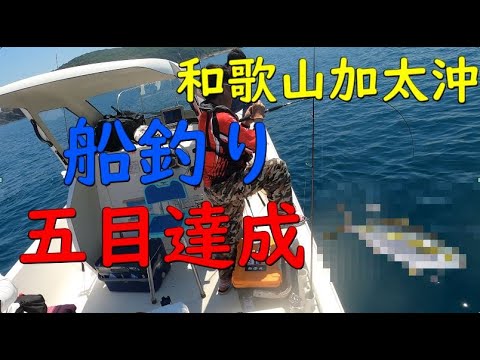 【釣り】和歌山加太沖編　五目釣り