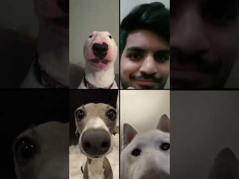 video Cell My Buddys 😀 #shorts
