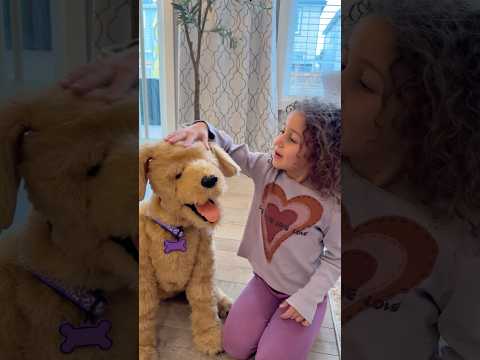 Sierra and Rhia taking care about their dog