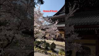 Nanzen-Ji Temple Kyoto #shorts #japantravel #kyotoitinerary #japansakura #japantemple