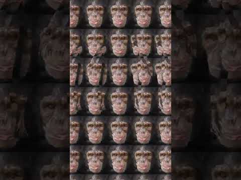 Are you in the 15% who are able to see this stereogram? #opticalillussion #eyetest #3d #stereogram