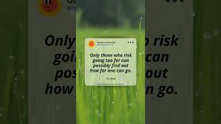 #powerfulquotes #lifesayings #quotesabouteverything #quotesandsaying #bestsayings #quotestoremember