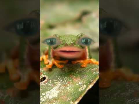 #funny #comedyvideos