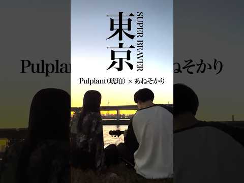 東京/SUPER BEAVER cover  #琥珀 #pulplant #弾き語り #歌ってみた #cover #東京 #tokyo