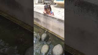 🐢🐢🐢ให้อาหารเต่า🐢🐢🐢