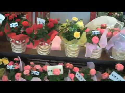 Ha Ha No Hi (Mother's Day) 10 May 09