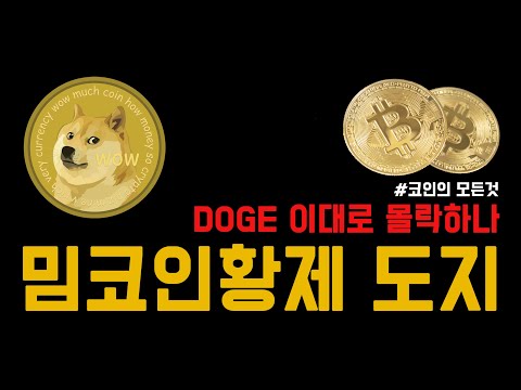 도지코인(DOGE) 밈 코인의 왕좌를 지킬 수 있을까?