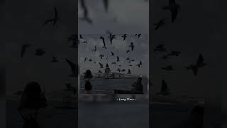 Ấy thế không có nghĩa là    #lofiphieulang #lyrics #lofimusic #nhaclofi #music
