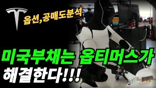 (테슬라) 풋콜중에 어디에 비중이 많나?