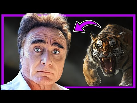 He Got Eaten By a Tiger // The Siegfried & Roy story