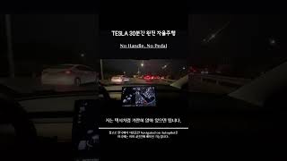 테슬라 이게 완전자율주행 이다