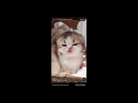 big announcement