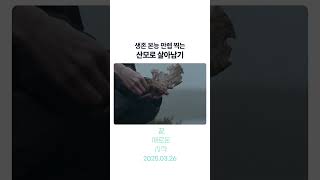 엄마의 생존 본능.. ㄷㄷ #끝새로운시작