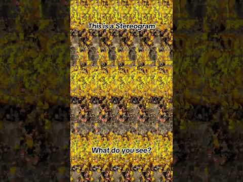 This is a stereogram. What do you see 👀? #stereogram #stereo3d #3deffects #opticalillussion