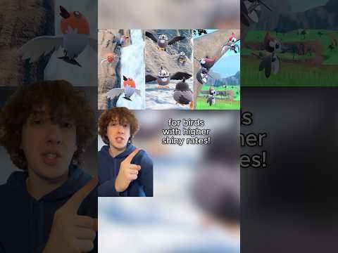 ALL New Pokémon News! 👀