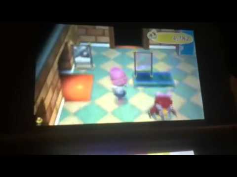 Animal crossing new leaf
