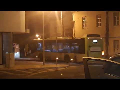 Bus