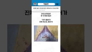유명한 썰의 주인공이었던 흑백요리사 안유성 명장